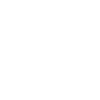 Survey icon